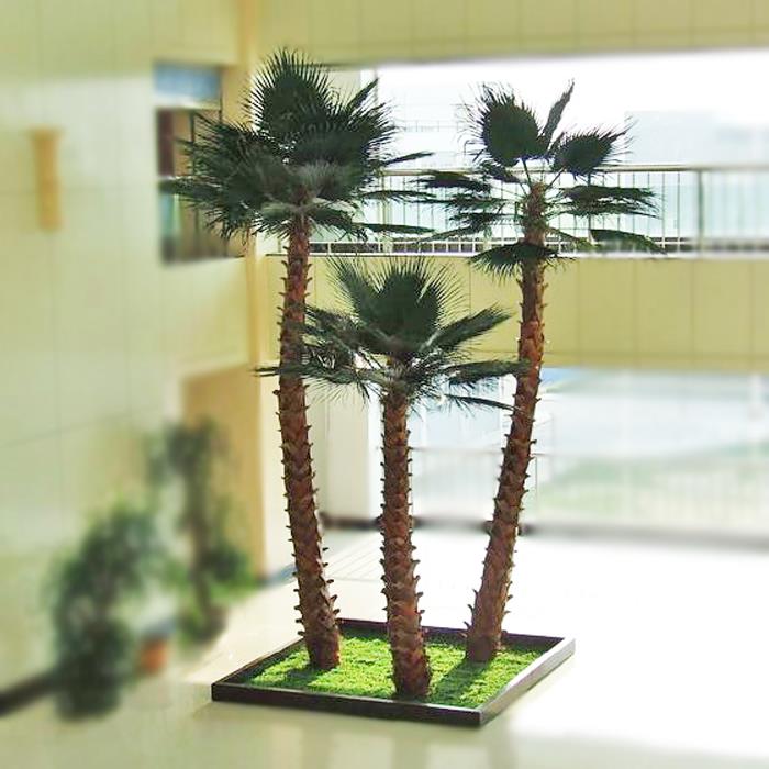 palmė