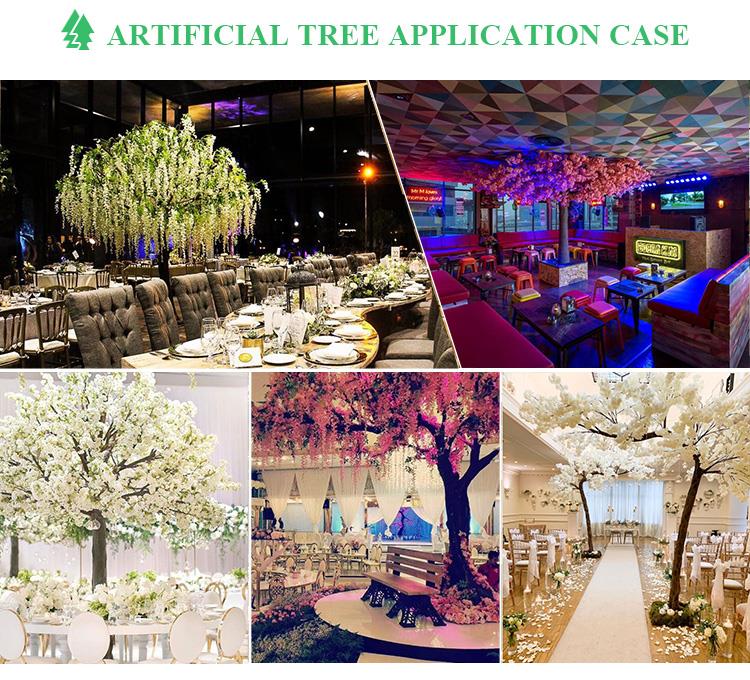 HAC cherry blossom tree cases