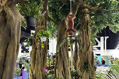 Canadian One Tree Forest byla