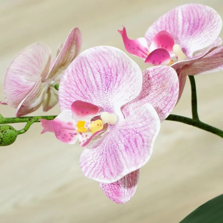 Artificial Orchid Arrangement With 2 Forks