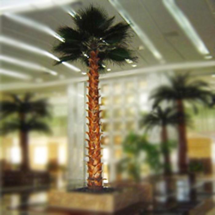palm tree2