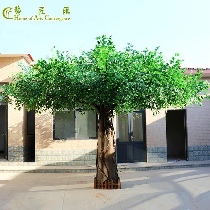 Silk Ficus Tree